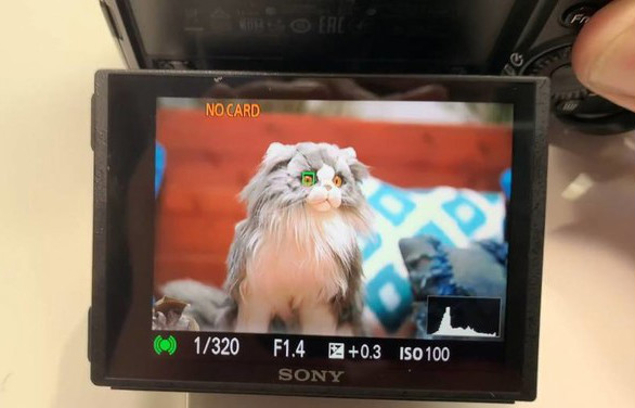 121510101727.png 图片8.png