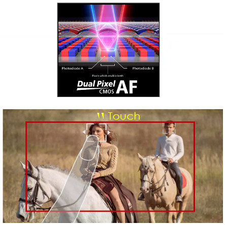 162855244119.png 图片12.png