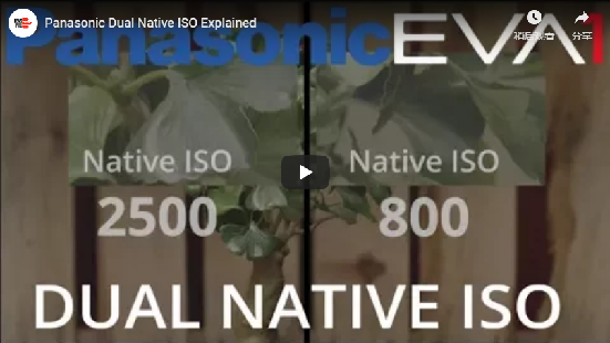EVA1 Dual Native ISO VIDEO.png