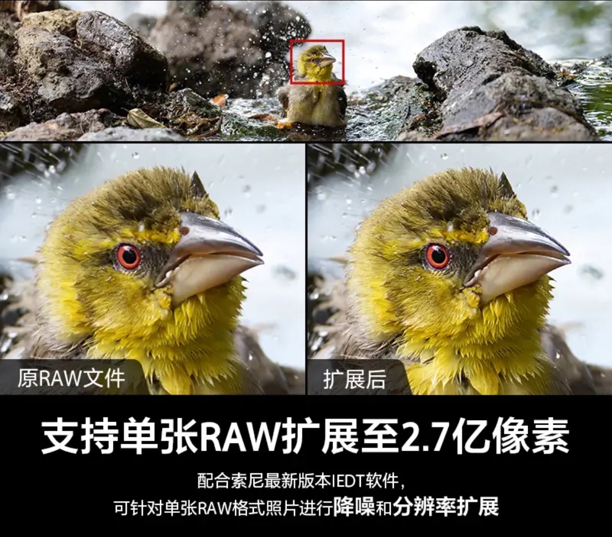 微信图片_20260525105140_327_3.jpg